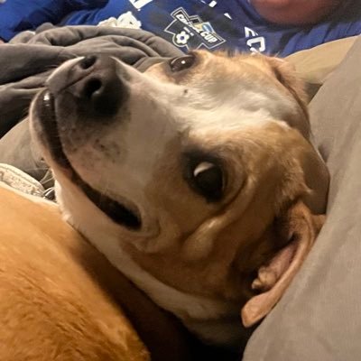 Here to listen/learn, tweet about my kids, food and sports (Go Blue Devils! Go Slugs!)/photos of my dog and join in political and social discourse, he/him