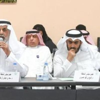 مدرب ومحاضر في تطوير الذات/مستشار في بناء الخطط الاستراتيجية/عضو بالعديد من المجالس/رئيس للعديد من اللجان/محكم معتمد للمسابقات وأوراق العمل.
