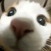 Yu喻 (@unjineng) Twitter profile photo Yu喻 (@unjineng) Twitter profile photo