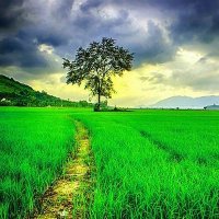 Markey (@mjwankenobi) 's Twitter Profile