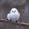dokondokon's profile picture. Movies/Readings/Music/Art/Science
AI/ML for Vision,Language,Time Series,etc