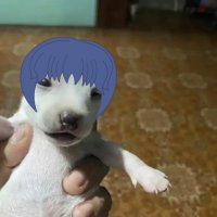 Riku Bun (CLOSE COMMS) (@ms6bun) 's Twitter Profile Photo Riku Bun (CLOSE COMMS) (@ms6bun) 's Twitter Profile Photo