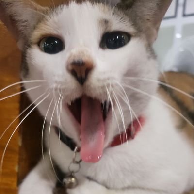 frennnnky's profile picture. 