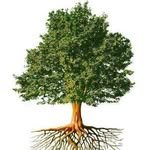 Ozcanakkaya1975's profile picture. Kan grb: 0 Rh + (Olmaya devlet cihânda bir nefes sıhhat gibi)

*Zafer hazırlık sever.* 

Uzun Vadeli Temettü Hisse Senedi Yatırımcısı,