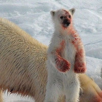 0xgloryoum's profile picture. trying to make mom proud