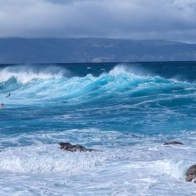 wilproft's profile picture. 