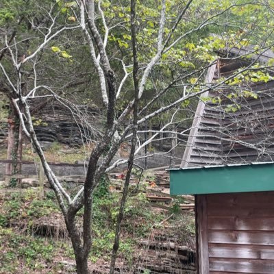 backathomer's profile picture. 