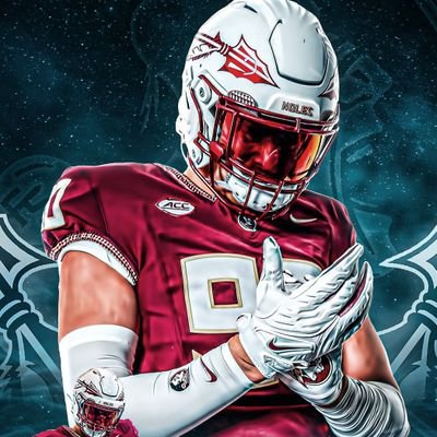 Hardcore Nole Fan Since 91🍢🍢#TheBattlesend Member🍢Love all my Seminole Nation (850) Born& Raised🍢 Panhandle Strong🍢 Gator Hater🍢Candy Cane Hater 😤😤