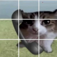 Solve The CATcha (@catchaonsol) 's Twitter Profile