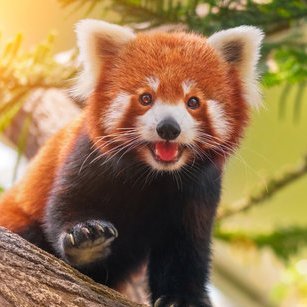 Drephen's profile picture. 