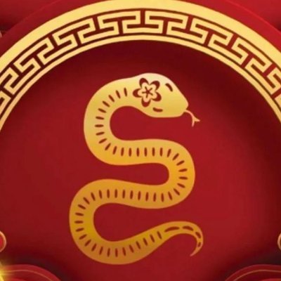 Official Gov Chinesse New Year.
Our Snake bright in 2025 .