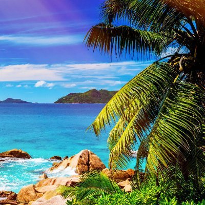 AntileoHector's profile picture. 🇦🇷