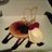 Caz48's profile image