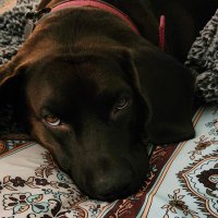 MaRiLyN (@bootoo62) 's Twitter Profile