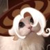 XcNer (@_thatonehuman) Twitter profile photo XcNer (@_thatonehuman) Twitter profile photo