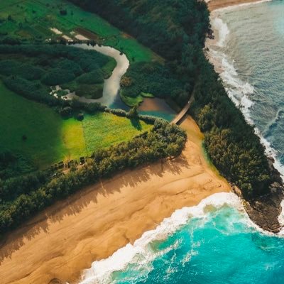 m809SX's profile picture. 