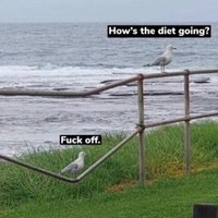 wyvern (@cswyvern) 's Twitter Profile Photo