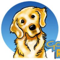 Golden retrieves for rehoming (@salesudani81751) 's Twitter Profile