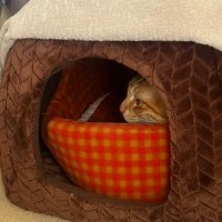 たろ@SC勉強中 (@study_milion) 's Twitter Profile