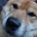 Jacobnsh (@jacobnsh3) Twitter profile photo Jacobnsh (@jacobnsh3) Twitter profile photo