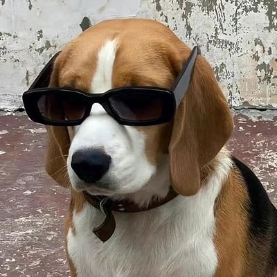 wiss11xd's profile picture. 马路戏院商店天空海阔任娥行