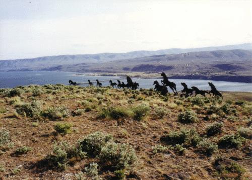 tyler_dorth's profile picture. 