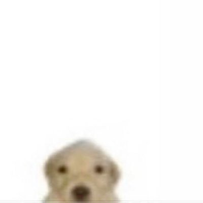 BRさんのプロフィール画像