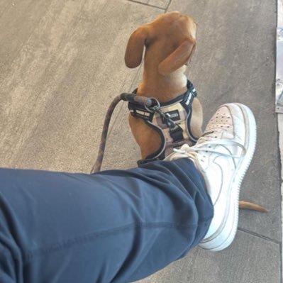 nadiaivtt's profile picture. 👩🏻‍⚕️