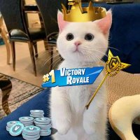 Dylanfn (@_dylan_fn) 's Twitter Profile
