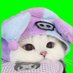 ๐ธbean๐ธ (@pockybean11) Twitter profile photo ๐ธbean๐ธ (@pockybean11) Twitter profile photo