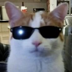 NgloFred's profile picture. 