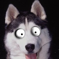 Jacqueline (@sixwourc) 's Twitter Profile