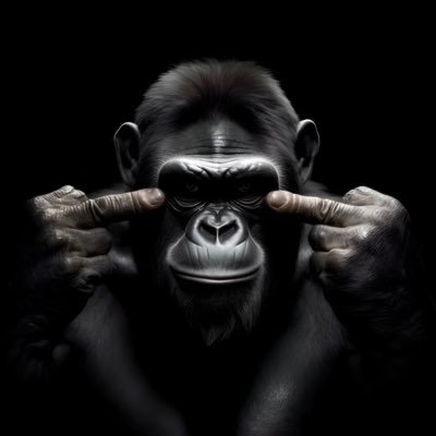 ltfz13_'s profile picture. poucas idéias