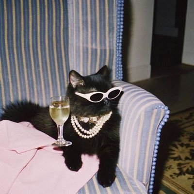 blockedbycosmo's profile picture. need to yap at all times