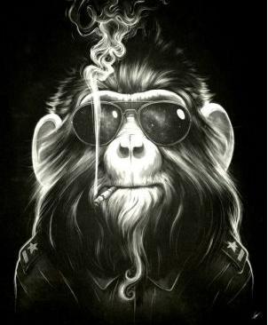 DFerradaz's profile picture. what the hell is going on here, Twitter?