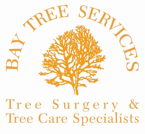 We undertake all aspects of Tree Surgery  throughout South Devon. We are experts in site clearance & pre-commencement project management.