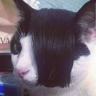 hcoldw0rld's profile picture. 