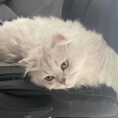 pasternak_tar's profile picture. UI/UX designer