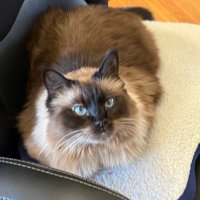 Reata (@nixreata) 's Twitter Profile