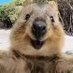 quokka (@mommy_mom1999) Twitter profile photo quokka (@mommy_mom1999) Twitter profile photo