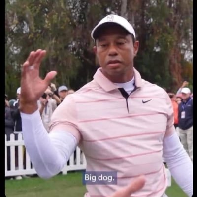 0eMixed's profile picture. 