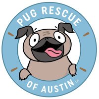 Pug Rescue Austin (@pugrescueaustin) 's Twitter Profile Photo Pug Rescue Austin (@pugrescueaustin) 's Twitter Profile Photo
