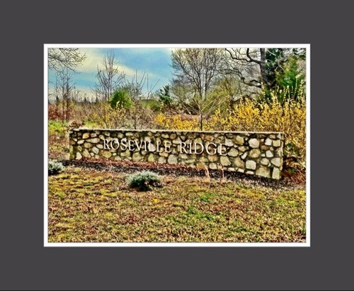 RosevilleRidge's profile picture. Where good times happen! What happens in Roseville stays in Roseville!