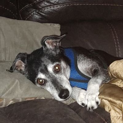 adkinsml's profile picture. 