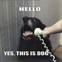 dog.pls (@alejandrotmz) 's Twitter Profile