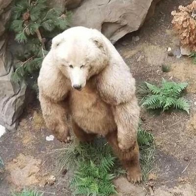 durgabuse's profile picture. மின்னல் இடை. @durgaddiction