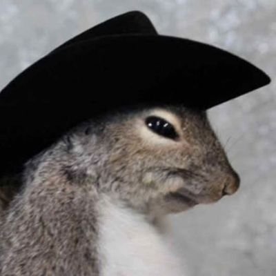 metaheuristico's profile picture. Pelacables | Catador de Tortas Ahogadas | Machetero y vendedor de amor