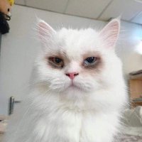 waiting for 6th li (@grippinglight) Twitter profile photo