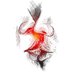 Exploer_web18 (@mehererokz) Twitter profile photo Exploer_web18 (@mehererokz) Twitter profile photo
