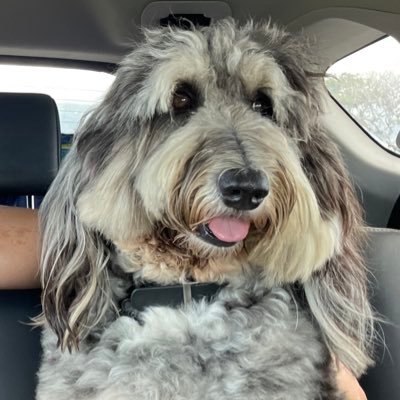 nsilbe's profile picture. I am here for sports related content and community interactions.